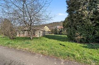 Bauernhaus kaufen in 55608 Becherbach, Becherbach bei Kirn: Bauernhaus mit großzügigem Grundstück und vielfältigem Entwicklungspotenzial