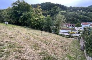 Grundstück zu kaufen in 76599 Weisenbach, Weisenbach - SCHÖNE AUSSICHTEN FÜR EIN GEMEINSAMES ZUHAUSE
