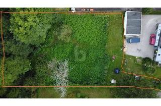 Grundstück zu kaufen in 76332 Bad Herrenalb, Bad Herrenalb - 2380 QM WOHNEN AM BACH UND WALD ZUM ENTSPANNEN