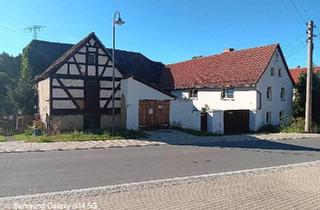 Haus kaufen in 07980 Berga, Berga/Elster - Vierseiten Hof Renovierung und Sanierung bedürftig
