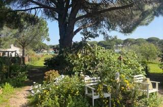 Haus kaufen in 21394 Kirchgellersen, Kirchgellersen - Traumfinca Andalusien mit zwei separaten Wohnhäusern in Bonares