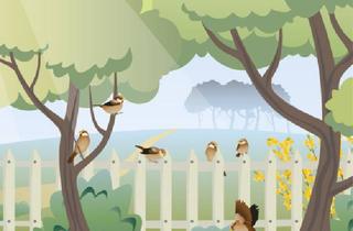 Bauernhaus kaufen in 21436 Marschacht, Marschacht - Bauernhaus mit 4 Wohneinheiten von Privat in 21436 Marschacht