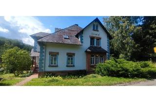 Haus kaufen in 04736 Waldheim, Waldheim - 2-Fam. Haus in 04736 Waldheim