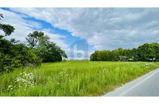 Grundstück zu kaufen in 25764 Wesselburenerkoog, Wesselburenerkoog - LEBEN IN DER NATUR AN DER NORDSEEKÜSTE