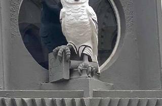 Wohnung mieten in 06108 Halle, optimal für Studenten_ Leben mit Garten mitten in der Stadt