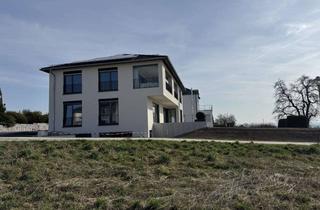 Wohnung mieten in 88326 Aulendorf, Erstbezug: Designerwohnung mit Terrasse