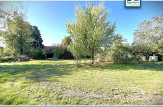 Bauernhaus kaufen in 49565 Bramsche, 443m² Nutzfläche: Bauernhof kaufen in Niedersachsen- Selbstversorger Haus, Pferdehof