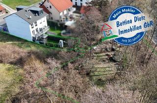 Haus kaufen in 63846 Laufach, DIETZ: Junges Familienhaus mit 837 m² großen, idyllischen Waldgrundstück in Laufach zu verkaufen!