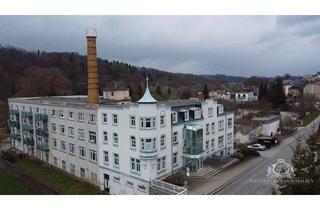 Haus kaufen in 07985 Elsterberg, Wohnanlage mit 35 Einheiten - teilvermietetes Investment mit zusätzlichem Entwicklungspotenzial