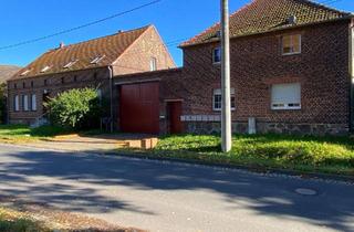 Haus kaufen in Lindenstraße 36, 06895 Elster, Hofanlage bestehend aus einem Herrenhaus, 4 Reihenhäusern, 6 Appartements und einer Scheune.