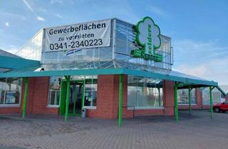 Geschäftslokal mieten in Leipziger Straße 28, 04509 Delitzsch, lichtdurchflutete Verkaufsfläche im Fachmarktzentrum Selders in Delitzsch zu vermieten.