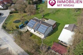 Einfamilienhaus kaufen in 89435 Finningen, Tierhalter u. Familien aufgepasst! Einfamilienhaus mit Einliegerwohnung, Nebengebäuden und 3600m2 !