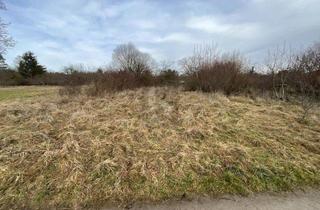 Grundstück zu kaufen in 75210 Keltern, PLANE DEIN EIGENES TRAUMHAUS IM GRÜNEN