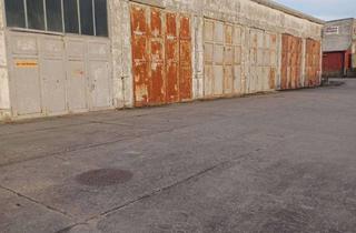 Gewerbeimmobilie mieten in Adolf-Stahr-Straße, 17291 Prenzlau, Vielseitige Kalthalle mit 142 m² Lagerfläche zu vermieten