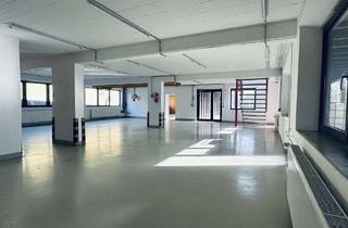 Gewerbeimmobilie mieten in 71254 Ditzingen, Moderne zweigeschossige Gewerbehalle / Kranbahn / Heimerdingen A8 A81 Anschluss