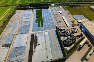 Gewerbeimmobilie mieten in 58239 Schwerte, Freiflächen zu vermieten ca 1000m²