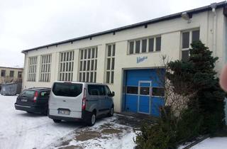Büro zu mieten in Gutenbergstr. 15, 06112 Lutherplatz, Lager-/Werkstatthalle mit Büroräumen in zentraler Lage
