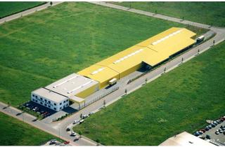 Büro zu mieten in Lindenstraße, 04626 Göllnitz, Lagerhalle (und Büroräume bei Bedarf)