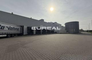 Gewerbeimmobilie mieten in 41179 Rheindahlen, Provisionsfreie Logistikhalle | 12.000m² | Rampen u. ebenerdige Andienung | ab Q4 2026