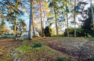 Grundstück zu kaufen in Paul-Schneider-Straße 19, 14513 Teltow, Teltow: Der perfekte Platz für Deine Träume!