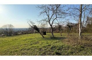 Grundstück zu kaufen in 64342 Seeheim-Jugenheim, ### WELCH EIN BLICK! IDYLLISCH GELEGENES FREIZEITGRUNDSTÜCK IN BESTER, GRÜNER HANGLAGE ###