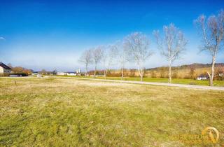 Grundstück zu kaufen in 93359 Wildenberg, Voll erschlossenes Grundstück mit 669 m² Grundstücksfläche -ohne Bauzwang- zu verkaufen.