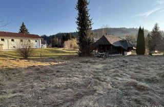 Grundstück zu kaufen in 79872 Bernau, Herziges Baugrundstück für den Häuslebau in naturnaher Lage inkl. besonderem Gerätehaus