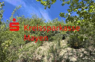 Grundstück zu kaufen in 56727 Mayen, Schönes vollerschlossenes Baugrundstück in Mayen, Am Heckenberg