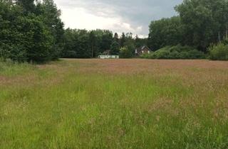 Grundstück zu kaufen in 21255 Tostedt, Seltenes Projektgrundstück im Hamburger Einzugsgebiet-3.500 m² mit Entwicklungspotenzial in Tostedt