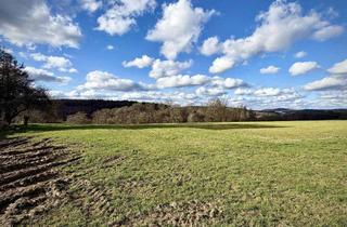 Grundstück zu kaufen in 66440 Blieskastel, Rarität: Baugrundstück mit unverbaubarem Fernblick!