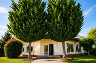 Büro zu mieten in 04860 Torgau, Exklusive Büro- / Praxisflächen mit Wow-Effekt in Torgau