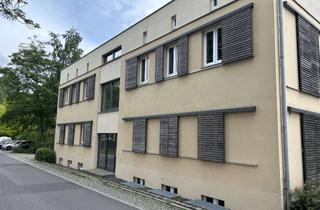 Büro zu mieten in Ulanenweg 11, 14469 Jägervorstadt, Büroetage (4 Büros) in ruhiger Top-Lage (Potsdam, Nördliche Vorstadt) zu vermieten