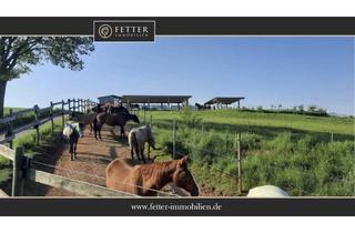 Immobilie kaufen in 67681 Wartenberg-Rohrbach, Reitanlage in Rheinland-Pfalz – im Donnersbergkreis mit Aktivstall & neuwertigem Wohnhaus!