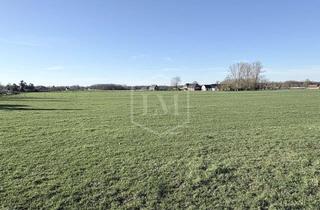 Immobilie kaufen in 46446 Emmerich, Grünland in Emmerich am Rhein