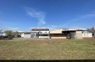 Gewerbeimmobilie kaufen in 68542 Heddesheim, 4.553 m² Gewerbe-Areal - Hallen, Büro & Wohnen – Sofort frei mit Baureserve