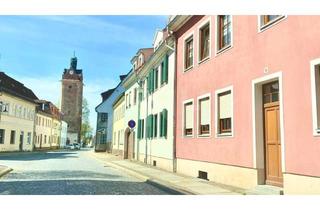 Wohnung kaufen in Maybachstraße 15, 04509 Delitzsch, Provisionsfrei für Käufer ... AfA 2,5 %* 2 Zimmer* EBK* Balkon* 2019 renoviert * vermietet