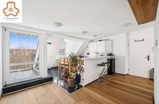 Wohnung kaufen in Manteuffelstraße 51, 12103 Tempelhof, Bezugsfreie möblierte Dachgeschosswohnung mit Terrasse und unverbaubarem Weitblick im Hinterhaus
