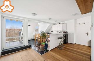Wohnung kaufen in Manteuffelstraße 51, 12103 Tempelhof, Bezugsfreie möblierte Dachgeschosswohnung mit Terrasse und unverbaubarem Weitblick im Hinterhaus