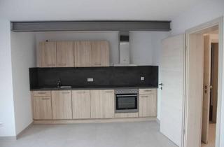 Wohnung mieten in 73035 Göppingen, Schönes Einzimmerapartment in herrlicher Wohnlage von Göppingen (Bartenbach)