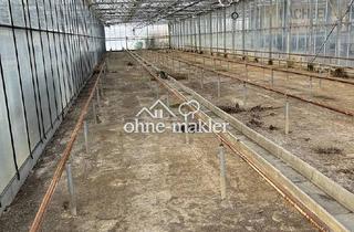 Gewerbeimmobilie mieten in 58239 Schwerte, Lagerflächen zu vermieten 1x 540m² 1x 1080m² 1x 2080m²