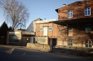Haus kaufen in Dahlenberger Straße, 04880 Trossin, Mühle mit Seeblick und großem Grundstück in Trossin