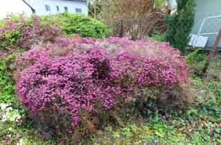 Mehrfamilienhaus kaufen in 73730 Esslingen, Gepflegtes Mehrfamilienhaus 3 WE in schöner Aussichtslage!!