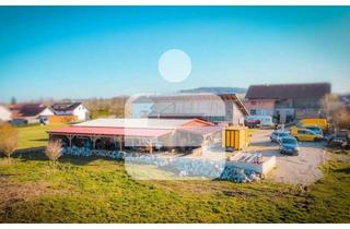 Haus kaufen in 94542 Haarbach, Ihre eigene kleine Ranch – 4.932 m² Freiheit & Möglichkeiten nähe Haarbach!