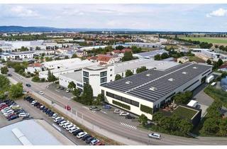 Büro zu mieten in Pommernstraße 29, 93073 Neutraubling, Regensburg-Neutraubling: Produktiv arbeiten, repräsentativ auftreten! Neubauhalle mit Büro