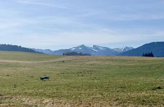 Grundstück zu kaufen in 82433 Bad Kohlgrub, Sonniges Baugrundstück im oberen Kurgebiet von Bad Kohlgrub