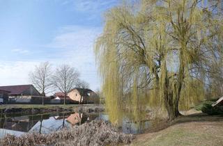 Grundstück zu kaufen in Ernst Thälmann Straße, 15306 Fichtenhöhe, Bauland in ruhiger Dorfmitte