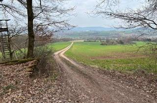 Immobilie kaufen in 37287 Wehretal, ----- RESERVIERT ----- Wald & Forstfläche