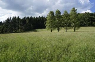 Gewerbeimmobilie kaufen in 82362 Weilheim, Ⓒharismatisch & Ⓝaturnah: Traumhaftes Freizeitgrundstück!