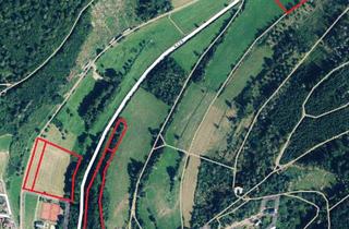 Gewerbeimmobilie kaufen in 35116 Hatzfeld, Grünlandflächen in Hatzfeld (Eder)