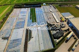 Gewerbeimmobilie mieten in 58239 Schwerte, Freiflächen zu vermieten ca 1000m²